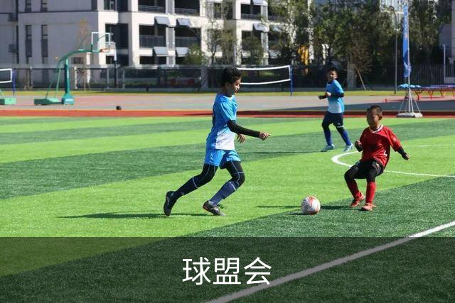 球盟会
